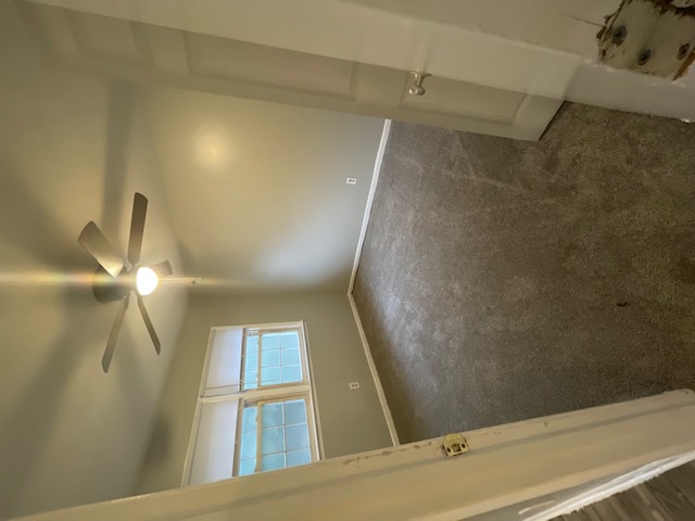 2118-3 Malloy Street - 1