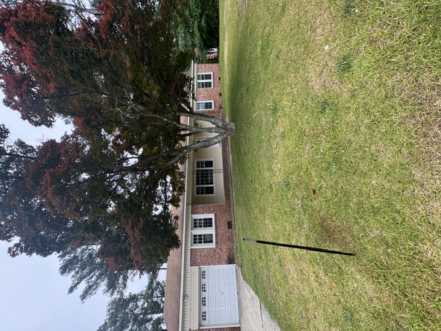 5408 cardigan court